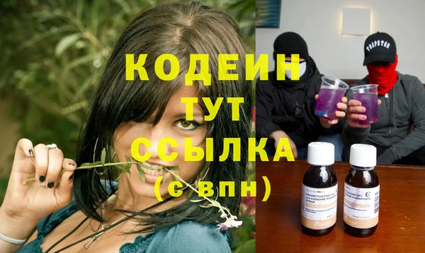 прущие грибы Дмитров