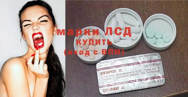 прущие грибы Дмитров