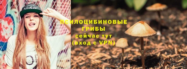 герыч Дмитровск