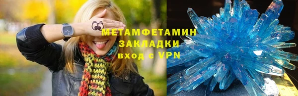 прущие грибы Дмитров