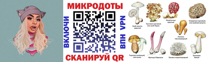 Купить  Макушино  Галлюциногенные грибы Cubensis 